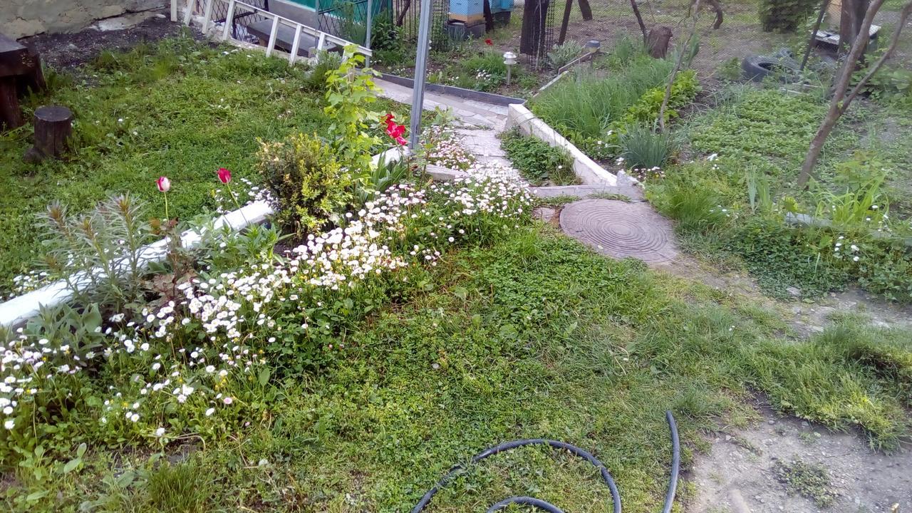 Guest House Khatuna Borjomi Esterno foto